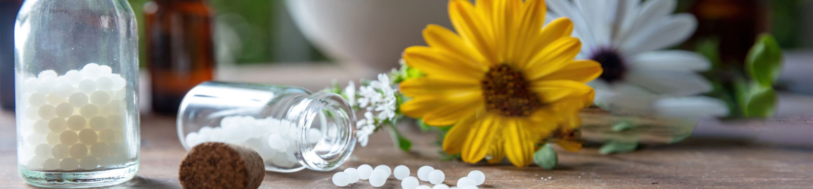 Homeopathy-Other Treatments